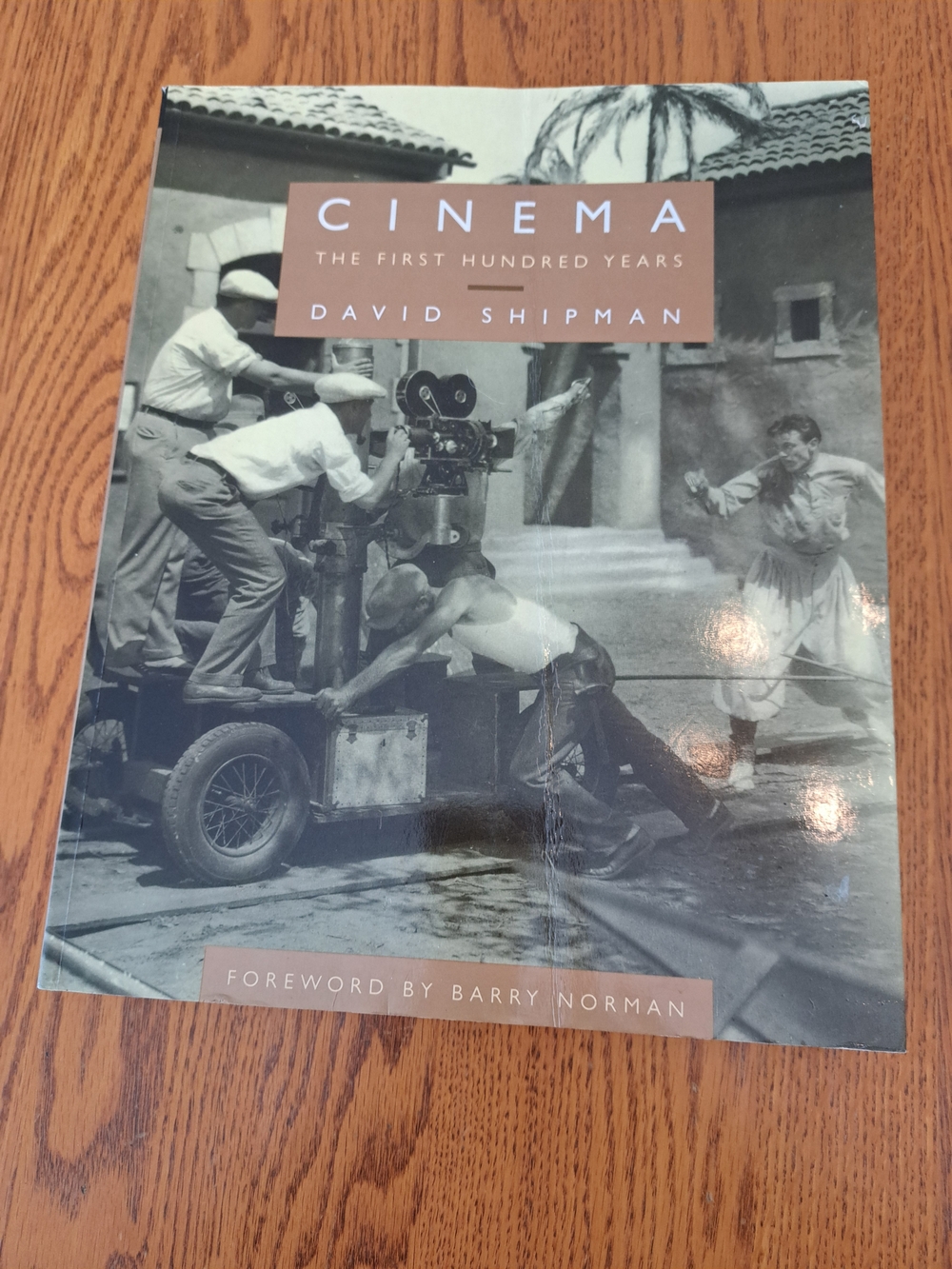 Cinema: The First Hundred Years by David Shipman - Soft Cover 1993